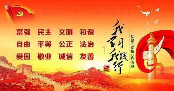救援猫与武士
