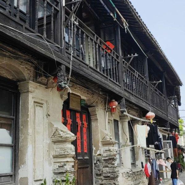 游客暴力抓住海鸥拍照，青岛栈桥景区：海鸥属保护动物，制止未果会报警